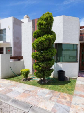 Casa Green